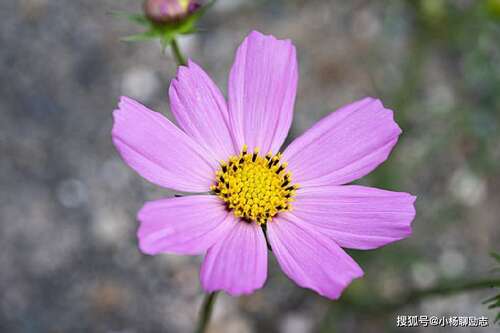 正能量鼓励人心写作1