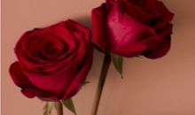 让人一看就赞的说说