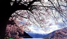 三月开头的美句