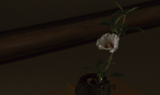 关于悲伤和心痛的句子和语录1