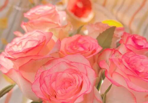 正能量句子在早上吸引了很多朋友