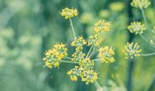 经典励志短句大全