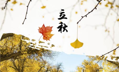 今天，李秋发布在片刻