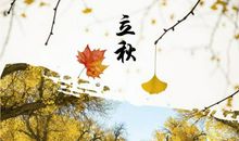 今日立秋发朋友圈说说