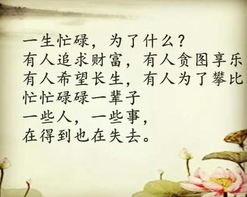 时间会让你理解所有句子