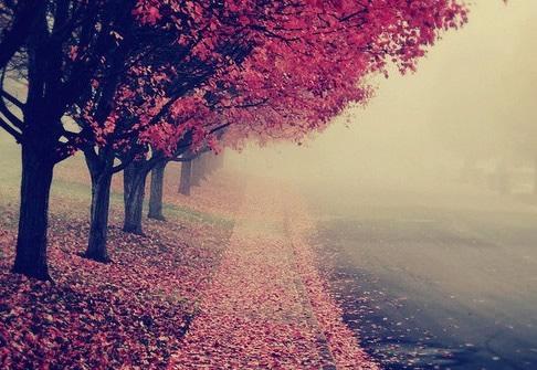 形容一个人的幸福的句子形容一个人的幸福的句子