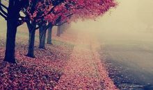 描写很开心的句子 描写一个人开心的句子