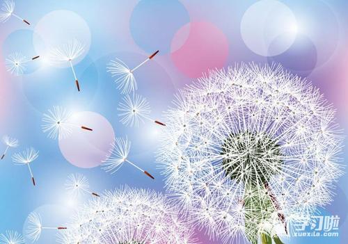 幽默的自我毁灭性句子，使他人开心1