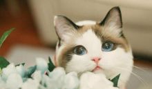 吃的很开心的句子 吃的开心喝得尽兴句子