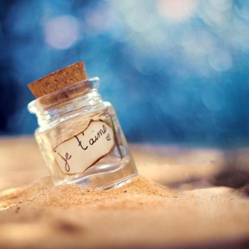 开心饮食的句子