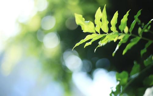 描述家庭情感动人的句子使家庭情感动人的句子2