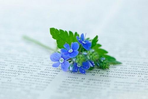 描述家庭情感的句子使家庭情感立即感动的句子1