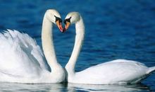 宠女朋友开心的句子 宠自己女朋友的句子