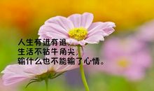 励志语录简短正能量2020