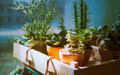 简短的父母感情句子美丽而简短的父母感情句子1