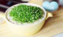 关于亲情斩不断的句子 亲情是剪不断的句子