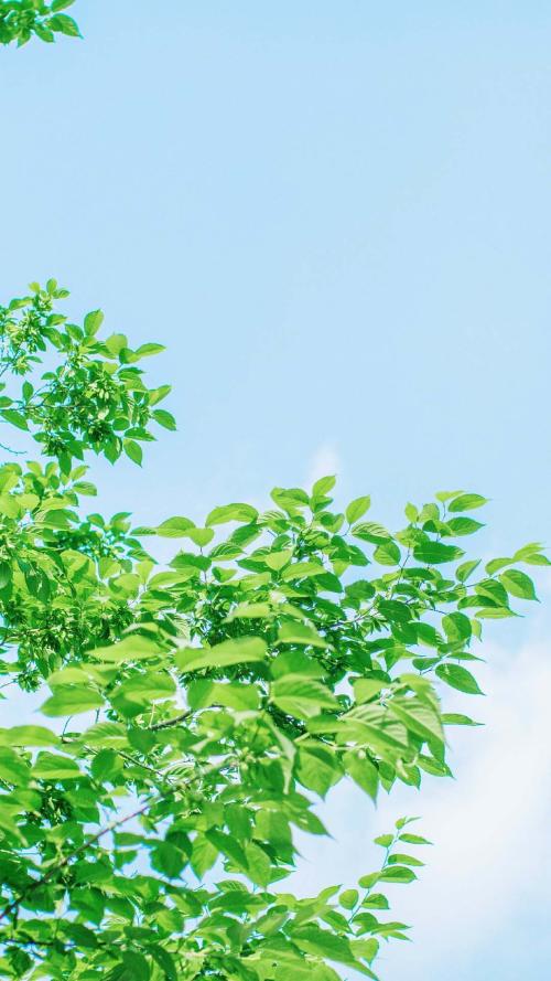 描述家庭感动的句子