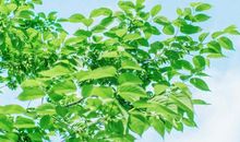 描写感动的亲情句子 亲情瞬间让人感动的句子