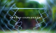 励志小清新语录唯美