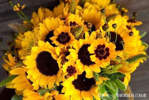 积极乐观的朋友圈句子