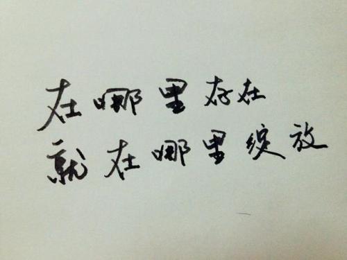 谈论爱情短语和人生感悟