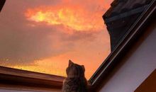 个人签名2020年最新霸气