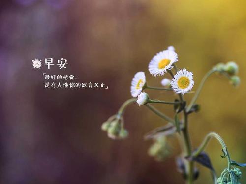 星期二早上好问候和祝福