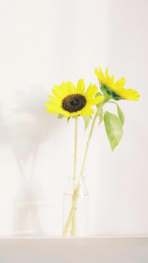 今天是一个非常快乐的句子今天是一个非常快乐的句子在Moments 2