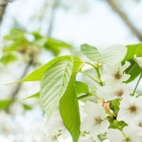 幸福的家庭句子幸福的家庭句子1