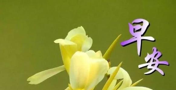 早安问候
