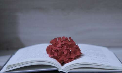 中秋节给员工的问候