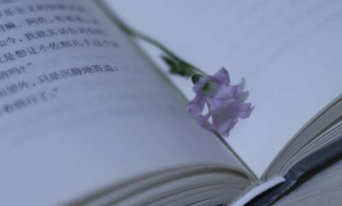 中秋节给员工的问候1