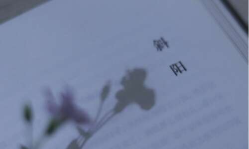 中秋节对员工的问候2