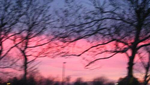 如果见面，请珍惜