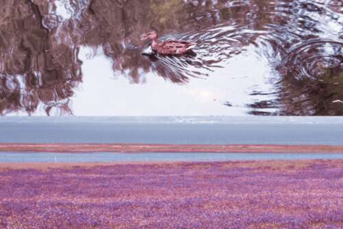 豆阴超级热土爱情故事2