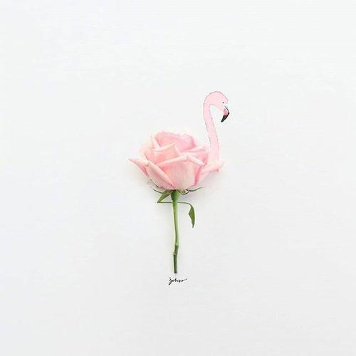 最近在朋友圈中最热门的