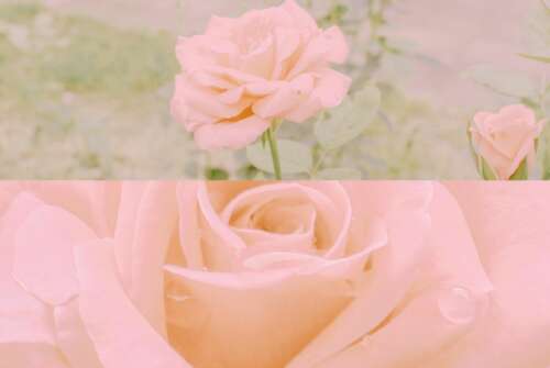 高情商生日问候短