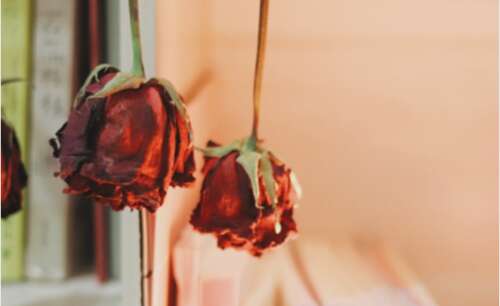 男人的生日祝福