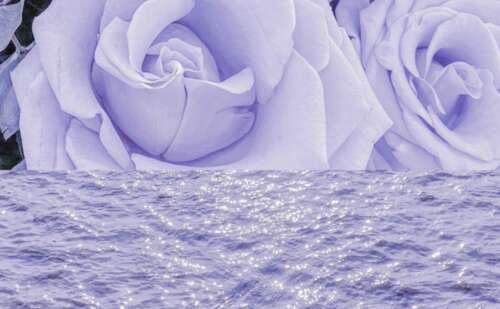 高EQ发圈2中秒喜欢的句子