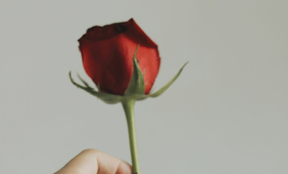 Tik Tok的流行生日短语，Tik Tok的流行生日问候