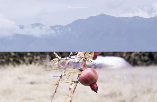 情商高发的句子几秒钟喜欢