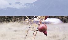 高情商发圈被秒赞的句子