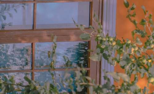 2020年在豆音上非常流行的句子