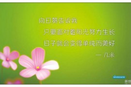 每天努力工作的句子