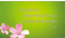 工作日日精进加油句子