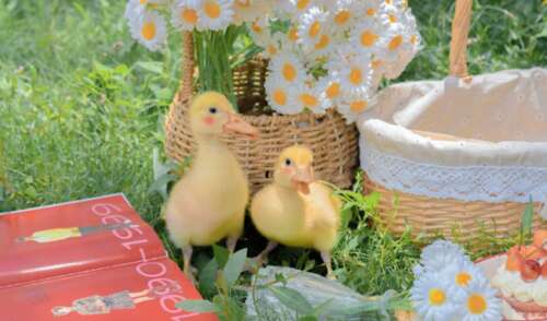 发送深入的朋友圈，有吸引力的朋友们讲故事1