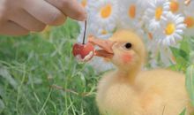 发一条有深度的朋友圈 有吸引力的朋友圈说书