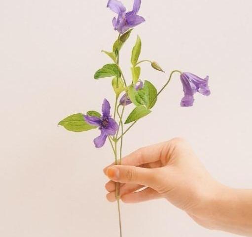 很温暖和闷热的句子2