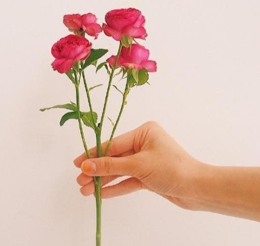 很温暖和闷热的句子1