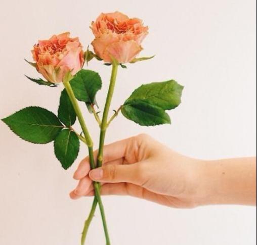 很温暖和闷热的句子